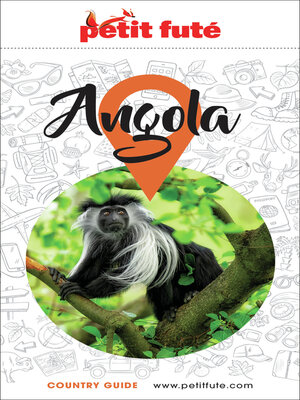 cover image of Guide Angola 2026/2027 Petit Futé